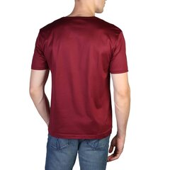 Мужская футболка Calvin Klein цена и информация | Мужские футболки | 220.lv