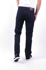 Džinsu bikses vīriešiem, BLK JEANS 7898952304210-31/34, zilas цена и информация | Мужские джинсы | 220.lv