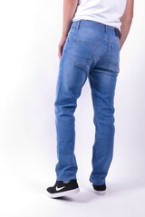 Джинсы BLK JEANS цена и информация | Мужские джинсы | 220.lv