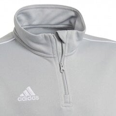 Džemperis zēniem Adidas Core 18 TR Top Junior CV4142, pelēks цена и информация | Свитеры, жилетки, пиджаки для мальчиков | 220.lv