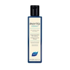 Очищающий шампунь для жирной кожи головы Phyto Phytocedrat, 200 мл цена и информация | Шампуни | 220.lv