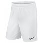 Sporta šorti vīriešiem Nike Park II M 725887-100, balti цена и информация | Sporta apģērbs vīriešiem | 220.lv