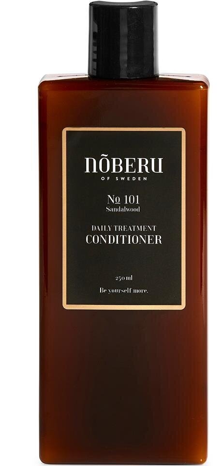 No 101 Daily Treatment Conditioner Kondicionieris biežai lietošanai, 250ml цена и информация | Matu kondicionieri, balzāmi | 220.lv