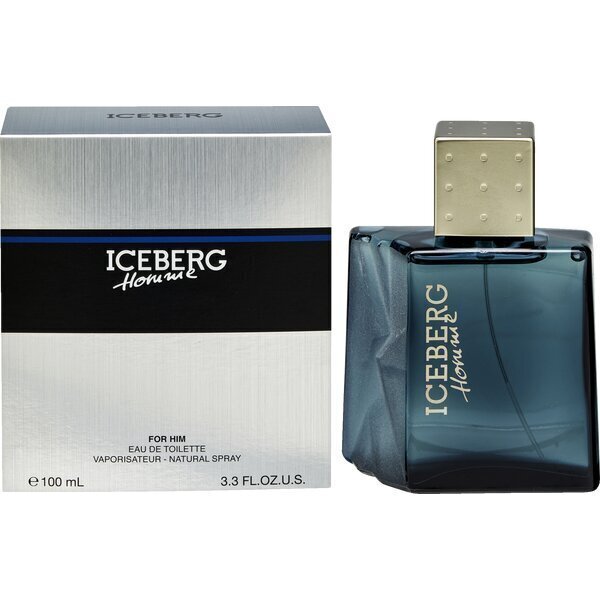 Tualetes ūdens Iceberg Homme EDT vīriešiem, 100 ml cena un informācija | Vīriešu smaržas | 220.lv