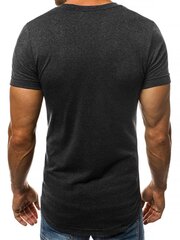 Vīriešu T-krāsas krekls "Nidol", tumši pelēks cena un informācija | Vīriešu T-krekli | 220.lv