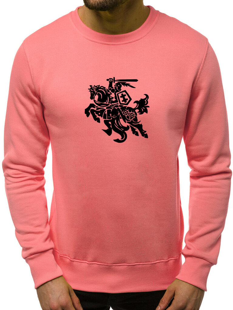 Vīriešu džemperis "Vytis", rozā cena un informācija | Vīriešu jakas | 220.lv