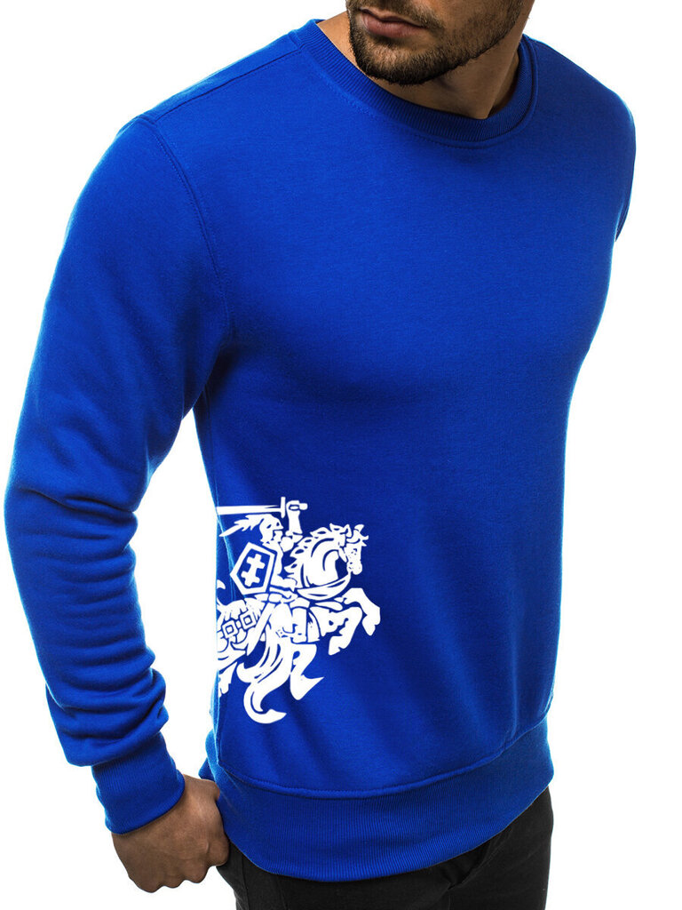 Vīriešu džemperis ar uzdruku sānā "Vytis", zils cena un informācija | Vīriešu jakas | 220.lv