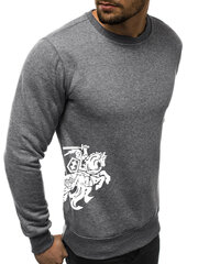 Vīriešu džemperis ar uzdruku sānā "Vytis", tumši pelēks cena un informācija | Vīriešu jakas | 220.lv