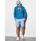 Vīriešu džemperis ar kapuci "LTU" B979 -43987, zils цена и информация | Vīriešu jakas | 220.lv