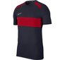 Vīriešu sporta T-krekls Nike Dry Academy TOP SS SA M BQ7352 452 (55732) цена и информация | Sporta apģērbs vīriešiem | 220.lv