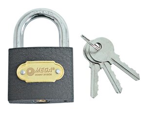 Pelēka čuguna 32 mm slēdzene, 3 atslēgas cena un informācija | Durvju slēdzenes | 220.lv