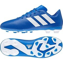 Futbola apavi Adidas Nemeziz 18.4 FxG Jr DB2357, 44906 цена и информация | Футбольные ботинки | 220.lv