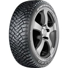 FALKEN Winterpeak F-Ice 1 205/60 16 96T цена и информация | Зимние шины | 220.lv