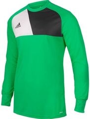 Футболка вратаря Adidas Assita 17 Junior, зеленая цена и информация | Мужские футболки | 220.lv