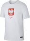 T-krekls vīriešiem Nike Poland Tee Evergreen Crest, balts cena un informācija | Vīriešu T-krekli | 220.lv
