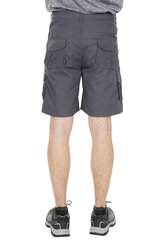 Шорты мужские Gally Male Shorts TP75 MABTSHG10017-GRA.L цена и информация | Мужские шорты | 220.lv