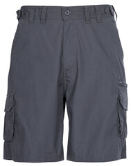 Šorti vīriešiem Gally Male Shorts TP75 MABTSHG10017-GRA.L цена и информация | Мужские шорты | 220.lv