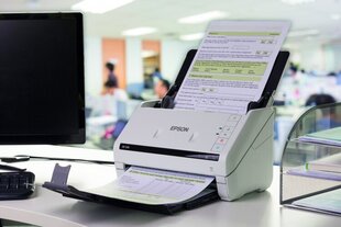 Сканер «Epson DS», Белый цена и информация | Сканеры | 220.lv