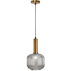 Piekaramā lampa Retro Glass B, Transparent cena un informācija | Lustras | 220.lv