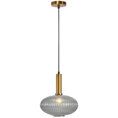 Piekaramā lampa Retro Glass C, Transparent cena un informācija | Lustras | 220.lv