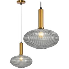 Piekaramā lampa Retro Glass C, Transparent cena un informācija | Lustras | 220.lv