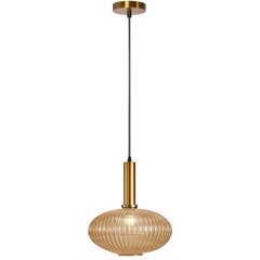 Piekaramā lampa Retro Glass C, Orange cena un informācija | Lustras | 220.lv