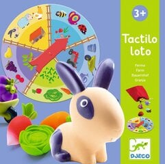 Spēle Tactilo Loto Ferma Djeco, DJ08135 cena un informācija | Galda spēles | 220.lv