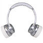 Evolveo Supreme Sound 8EQ 2 in 1 Silver cena un informācija | Austiņas | 220.lv