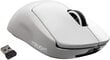 Logitech G Pro X SuperLight White (balta) цена и информация | Peles | 220.lv