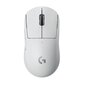 Logitech G Pro X SuperLight White (balta) цена и информация | Peles | 220.lv