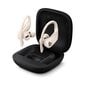 Powerbeats Pro Totally Wireless Earphones Ivory - MY5D2ZM/A cena un informācija | Austiņas | 220.lv