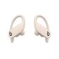 Powerbeats Pro Totally Wireless Earphones Ivory - MY5D2ZM/A cena un informācija | Austiņas | 220.lv