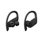 Powerbeats Pro Totally Wireless Earphones Black - MY582ZM/A cena un informācija | Austiņas | 220.lv