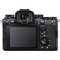 Kamera Sony Alpha 1 Body (ILCE-1 / B), melna цена и информация | Digitālās fotokameras | 220.lv