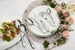 Villeroy & Boch Mademoiselle galda piederumu komplekts no 68 priekšmetiem cena un informācija | Galda piederumi | 220.lv