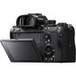 Sony A7R Mark III A Body, Black cena un informācija | Digitālās fotokameras | 220.lv