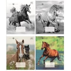 Тетрадь Horses, 12 листов, в линейку цена и информация | Тетради и бумажные товары | 220.lv