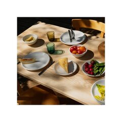 Миска Iittala Raami, 17 см цена и информация | Посуда, тарелки, обеденные сервизы | 220.lv