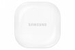 Samsung Galaxy Buds 2 Green SM-R177NZGAEUD cena un informācija | Austiņas | 220.lv