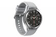 Samsung Galaxy Watch 4 Classic (LTE,46mm), Silver SM-R895FZSAEUD цена и информация | Viedpulksteņi (smartwatch) | 220.lv