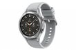 Samsung Galaxy Watch 4 Classic (LTE,46mm), Silver SM-R895FZSAEUD cena un informācija | Viedpulksteņi (smartwatch) | 220.lv