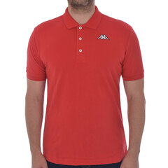 Polo krekls KAPPA Sharus 303T8V0-565-XXL цена и информация | Мужские футболки | 220.lv