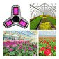 100W pilna spektra lampa augu audzēšanai cena un informācija | Diedzēšanas trauki, augu lampas | 220.lv