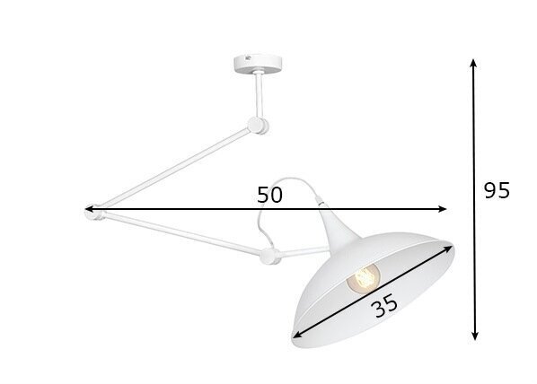 Griestu lampa Melos, 60 W цена и информация | Griestu lampas | 220.lv