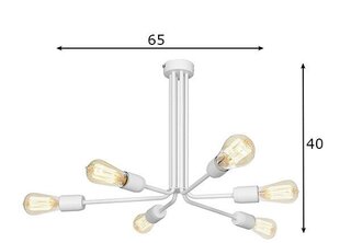 Griestu lampa Ezop, balta, 6x 60 W цена и информация | Потолочные светильники | 220.lv