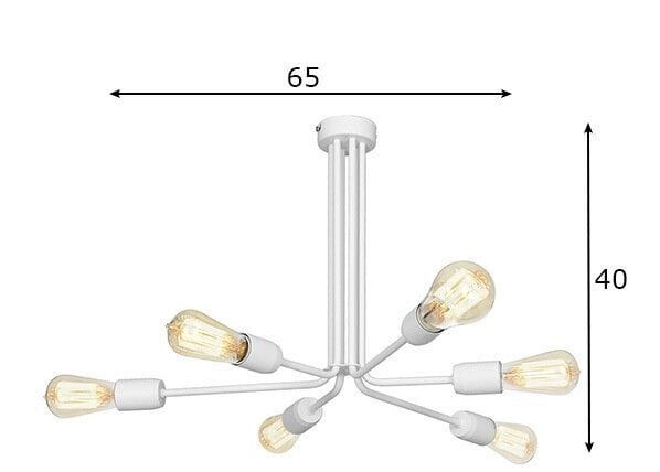 Griestu lampa Ezop, balta, 6x 60 W cena un informācija | Griestu lampas | 220.lv