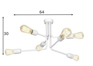 Griestu lampa Ezop, balta, 6x 60 W cena un informācija | Griestu lampas | 220.lv