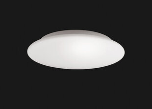 Griestu lampa Blanco, ar 1 spuldzi цена и информация | Потолочные светильники | 220.lv