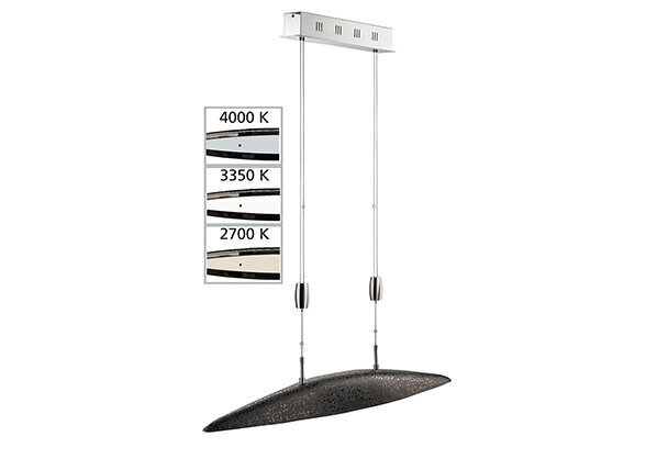 Griestu lampa Colmar LED cena un informācija | Griestu lampas | 220.lv