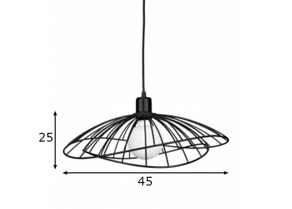 Globen Lighting piekaramā lampa Ray cena un informācija | Piekaramās lampas | 220.lv